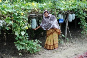 This is one of a very few images of a woman of colour i could find in a vegetable garden... going to try not to read into it :) image from: world-crops.com 